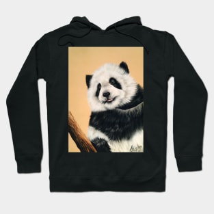 Panda Bear Cub Hoodie